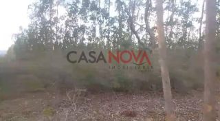 Fazenda com 200 tarefas em Itapicuru
