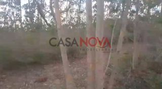 Fazenda com 200 tarefas em Itapicuru