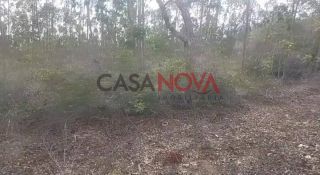 Fazenda com 200 tarefas em Itapicuru