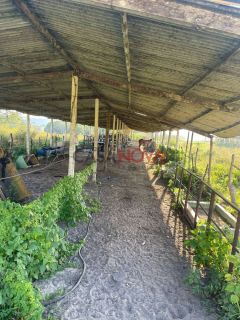 Fazenda com 100 tarefas em Itaporanga