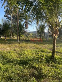 Fazenda com 100 tarefas em Itaporanga
