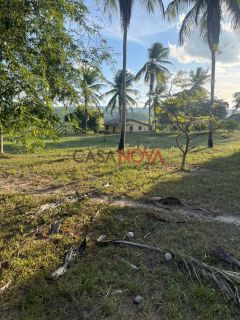Fazenda com 100 tarefas em Itaporanga