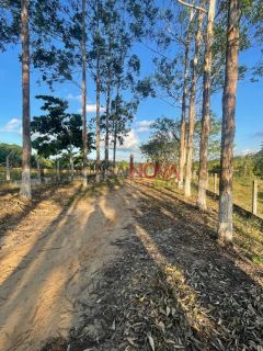 Fazenda com 100 tarefas em Itaporanga