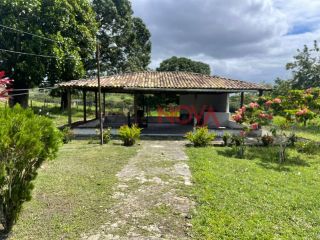 Fazenda com 150 tarefas em Itaporanga