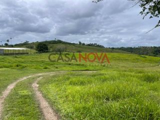 Fazenda com 150 tarefas em Itaporanga