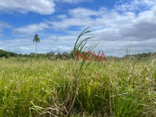 Fazenda com 150 tarefas em Itaporanga