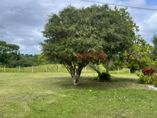 Fazenda com 150 tarefas em Itaporanga