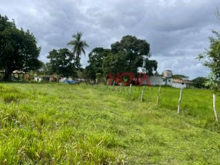 Fazenda com 150 tarefas em Itaporanga