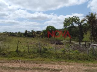 Fazenda com 141 tarefas em Salgado