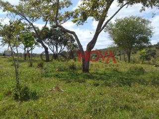 Fazenda com 141 tarefas em Salgado