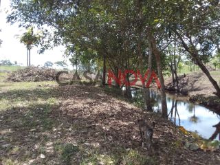 Fazenda com 141 tarefas em Salgado