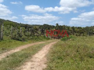 Fazenda com 141 tarefas em Salgado