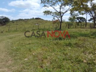 Fazenda com 141 tarefas em Salgado