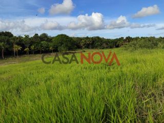 Fazenda com 141 tarefas em Salgado