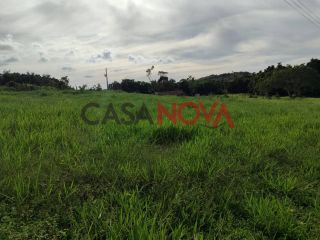 Fazenda com 141 tarefas em Salgado