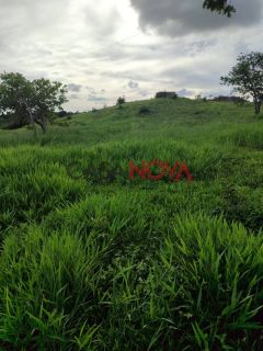 Fazenda com 141 tarefas em Salgado