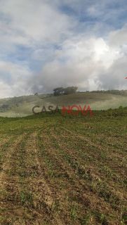 Fazenda com 150 tarefas em Campo do Brito