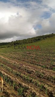 Fazenda com 150 tarefas em Campo do Brito