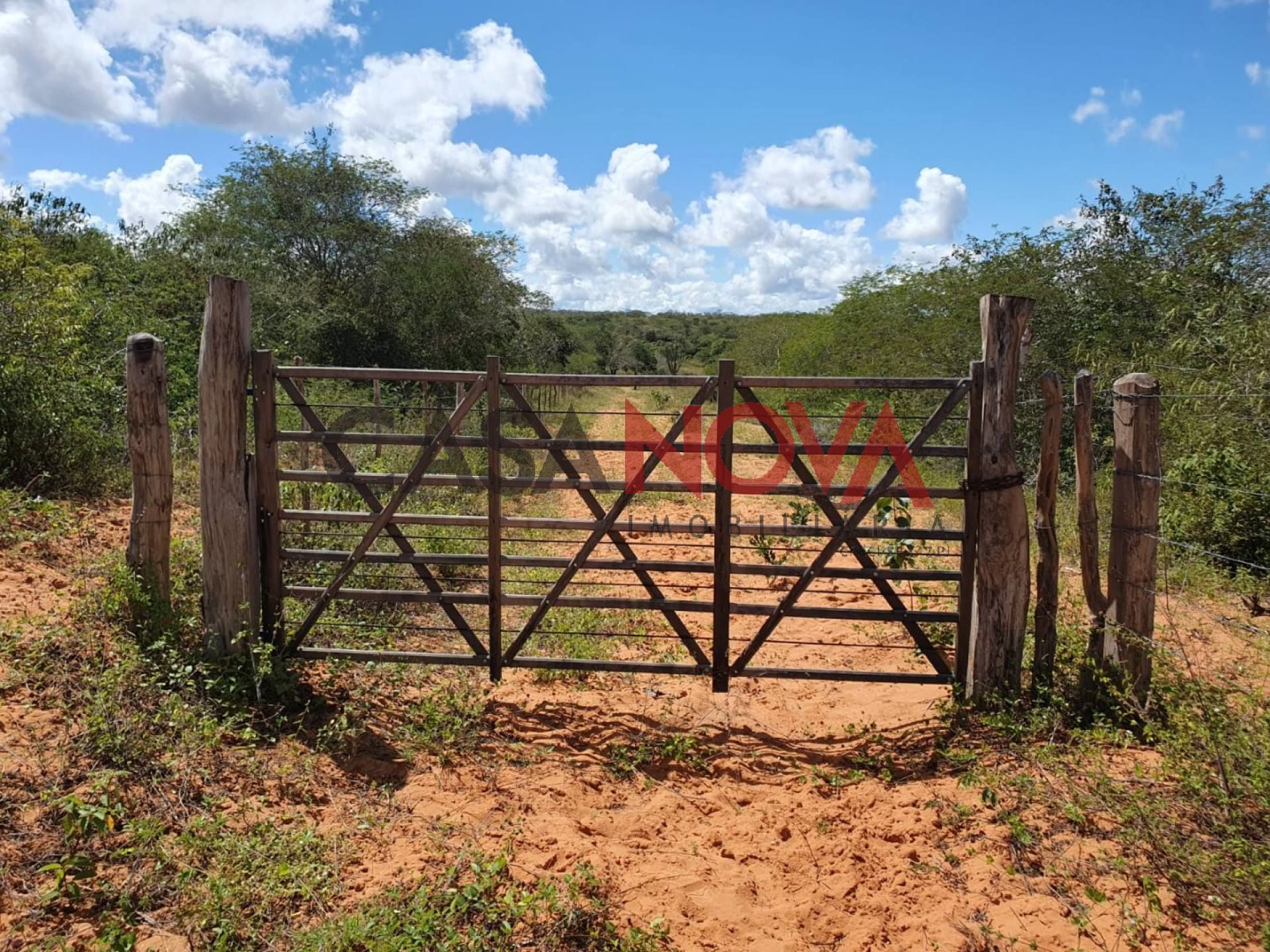 Fazenda em Ribeira do Pombal na Bahia, com 1900 tarefas