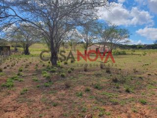 Fazenda em Ribeira do Pombal na Bahia, com 1900 tarefas