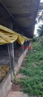 Sítio de 37 tarefas com Granja em Itaporanga