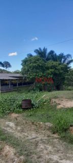 Sítio de 37 tarefas com Granja em Itaporanga