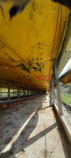 Sítio de 37 tarefas com Granja em Itaporanga