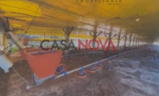 Sítio de 37 tarefas com Granja em Itaporanga