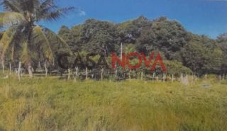 Sítio de 37 tarefas com Granja em Itaporanga