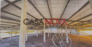 Sítio de 37 tarefas com Granja em Itaporanga