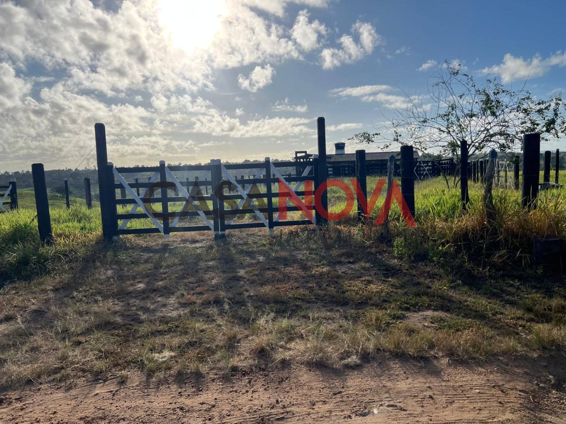 Fazenda com 54 tarefas em Itaporanga com rio
