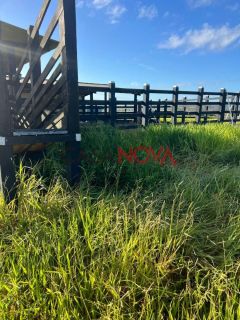 Fazenda com 54 tarefas em Itaporanga com rio