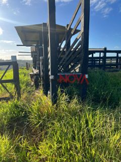 Fazenda com 54 tarefas em Itaporanga com rio