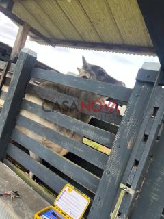 Fazenda com 54 tarefas em Itaporanga com rio