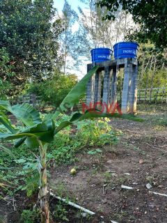 Fazenda com 130 tarefas em Itaporanga D\'Ajuda