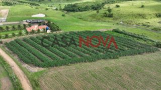 Fazenda em Pedrinhas com 78 tarefas