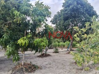 Vendo ou Troco Sítio em Salgado com 10 Tarefas