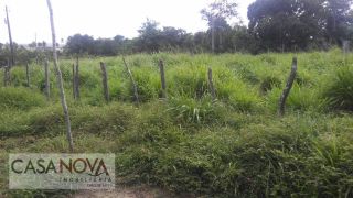 Fazenda em São Cristovão com 100 tarefas as margens do Rio Vaza Barris