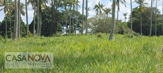 Fazenda em São Cristovão com 100 tarefas as margens do Rio Vaza Barris