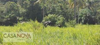 Fazenda em São Cristovão com 100 tarefas as margens do Rio Vaza Barris