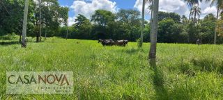 Fazenda em São Cristovão com 100 tarefas as margens do Rio Vaza Barris