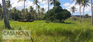 Fazenda em São Cristovão com 100 tarefas as margens do Rio Vaza Barris