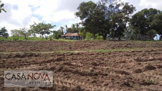 Fazenda em São Cristovão com 100 tarefas as margens do Rio Vaza Barris