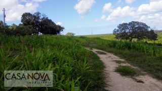 Fazenda em São Cristovão com 100 tarefas as margens do Rio Vaza Barris