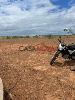 Terreno com 260 tarefas em Jeremoabo para arrendamento para plantação de milho