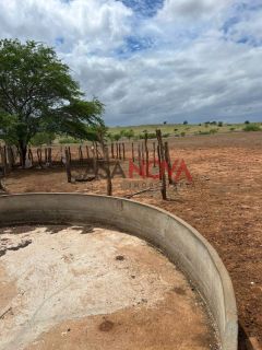Terreno com 260 tarefas em Jeremoabo para arrendamento para plantação de milho