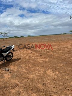 Terreno com 260 tarefas em Jeremoabo para arrendamento para plantação de milho