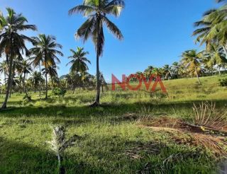 Área em Estância com 133 tarefas na Praia do Saco