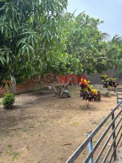 Chácara em Itaporanga com 1250 m²