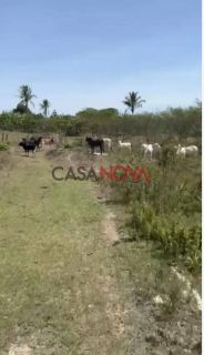 Fazenda com 170 tarefas em Riachão do Dantas